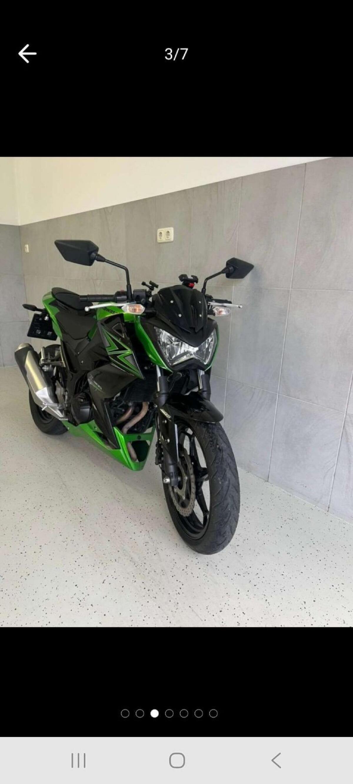 Kawasaki Z300 ABS Naked Bike 3