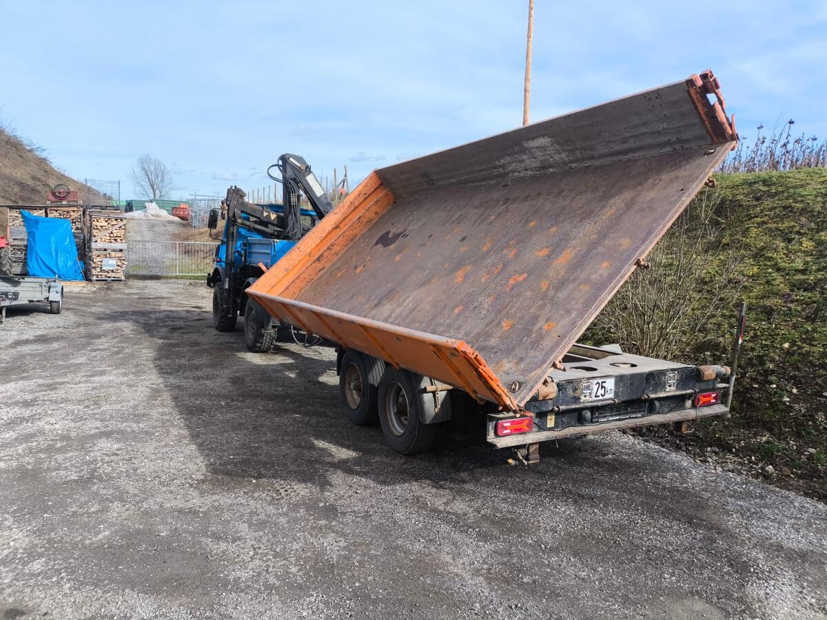 Wellmeyer Wilhelm Tandem Tieflader Kipper, Model M1209 2