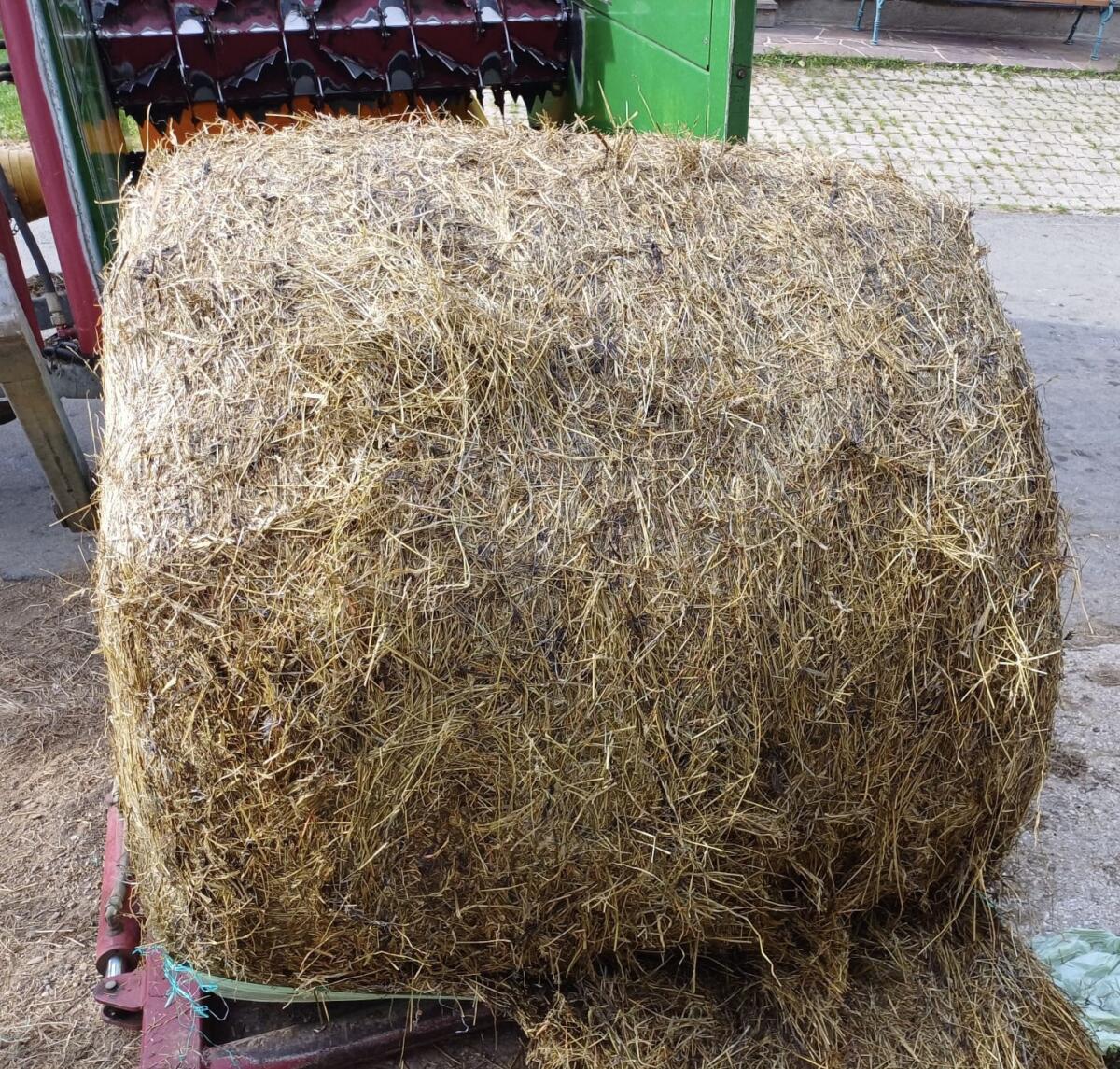 Siloballen zu verkaufen 2