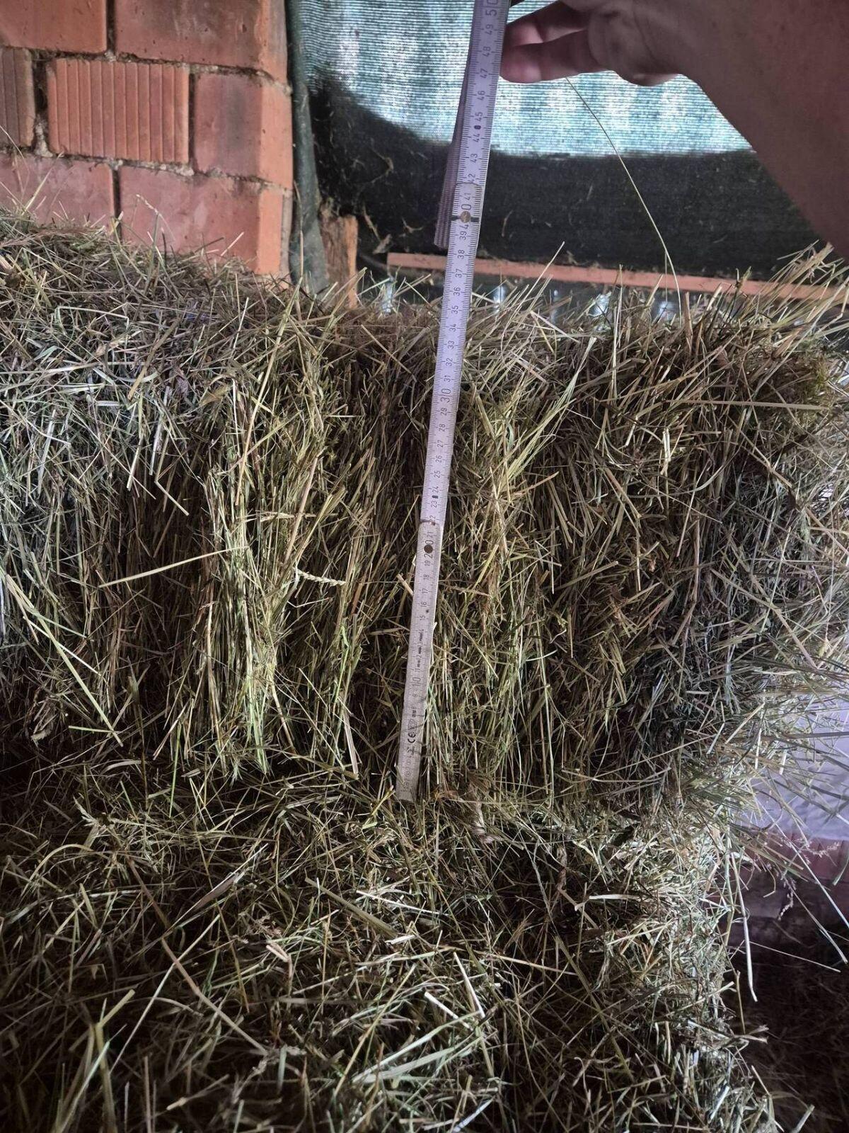 Verkaufe HD-Ballen 3