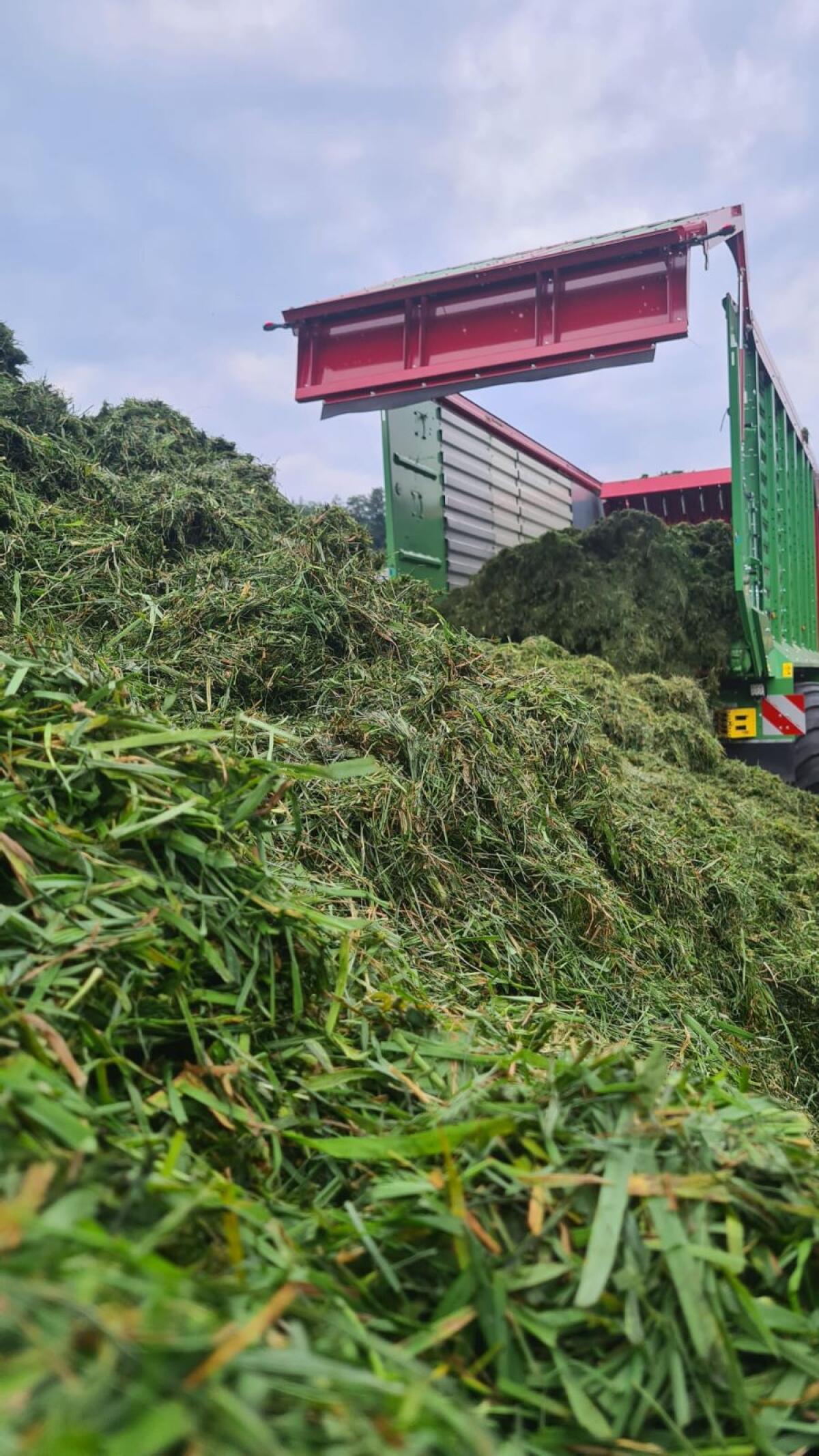 Erntewageneinsatz mit Strautmann Magnon 9 2