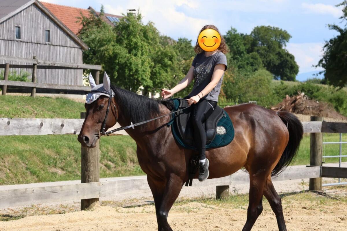 Unerschrockene Ausreitpartnerin mit Potential für mehr 3