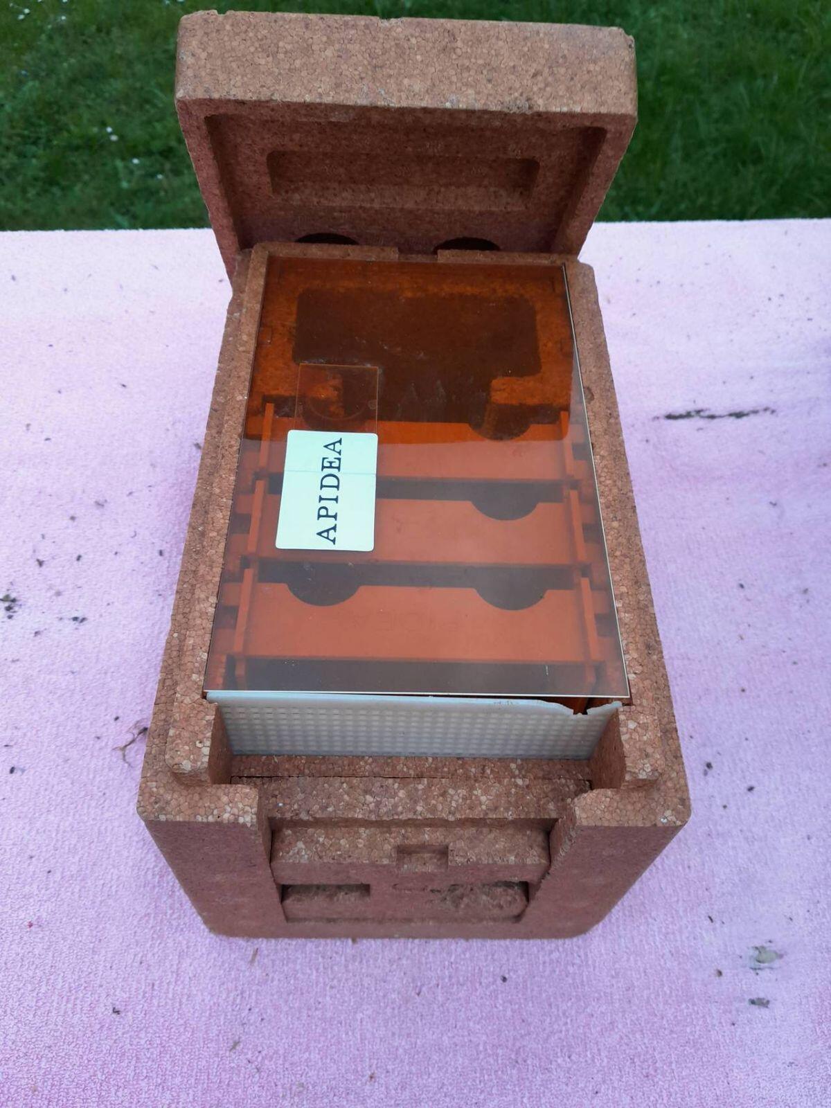 Begattungskästchen für Königinnenzucht 2