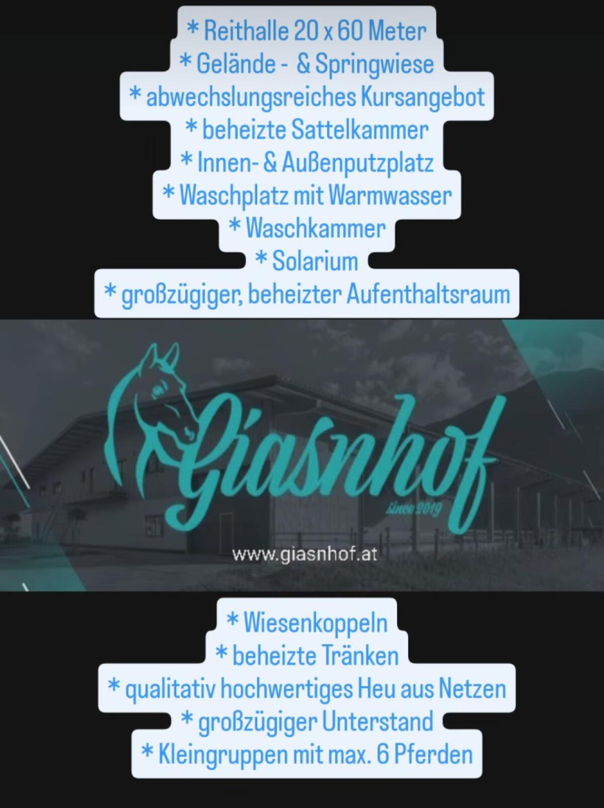 Einstellplätze für Pferde 2