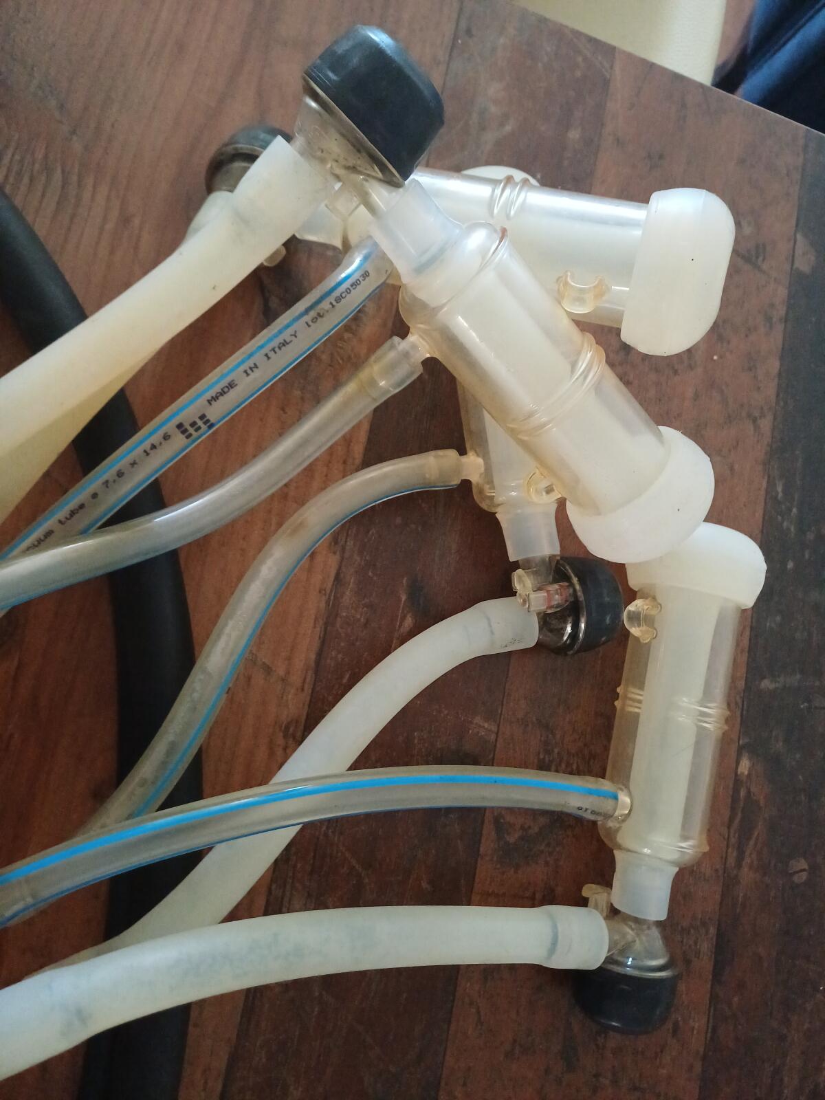 Ziegen Melkgeschirr 3