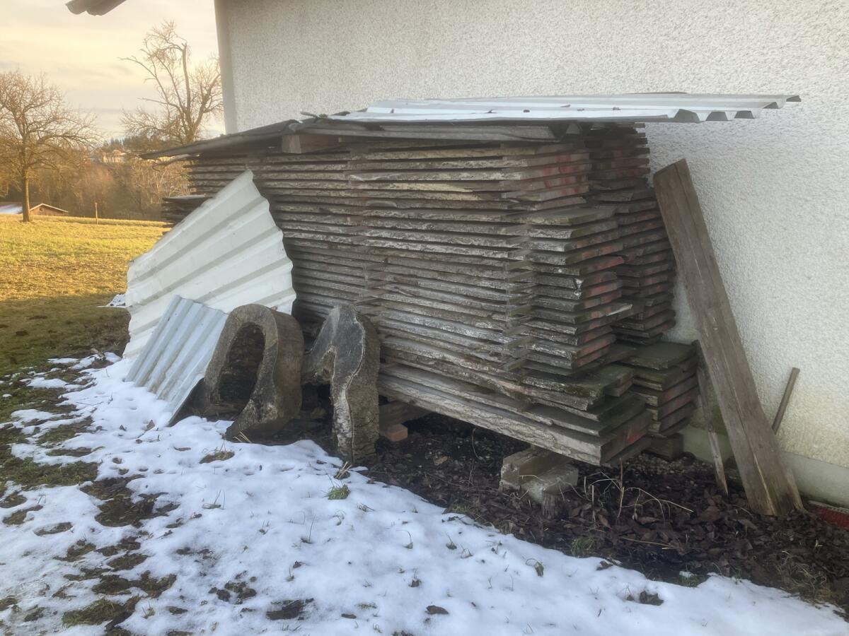 Eschenholz geschnitten 3