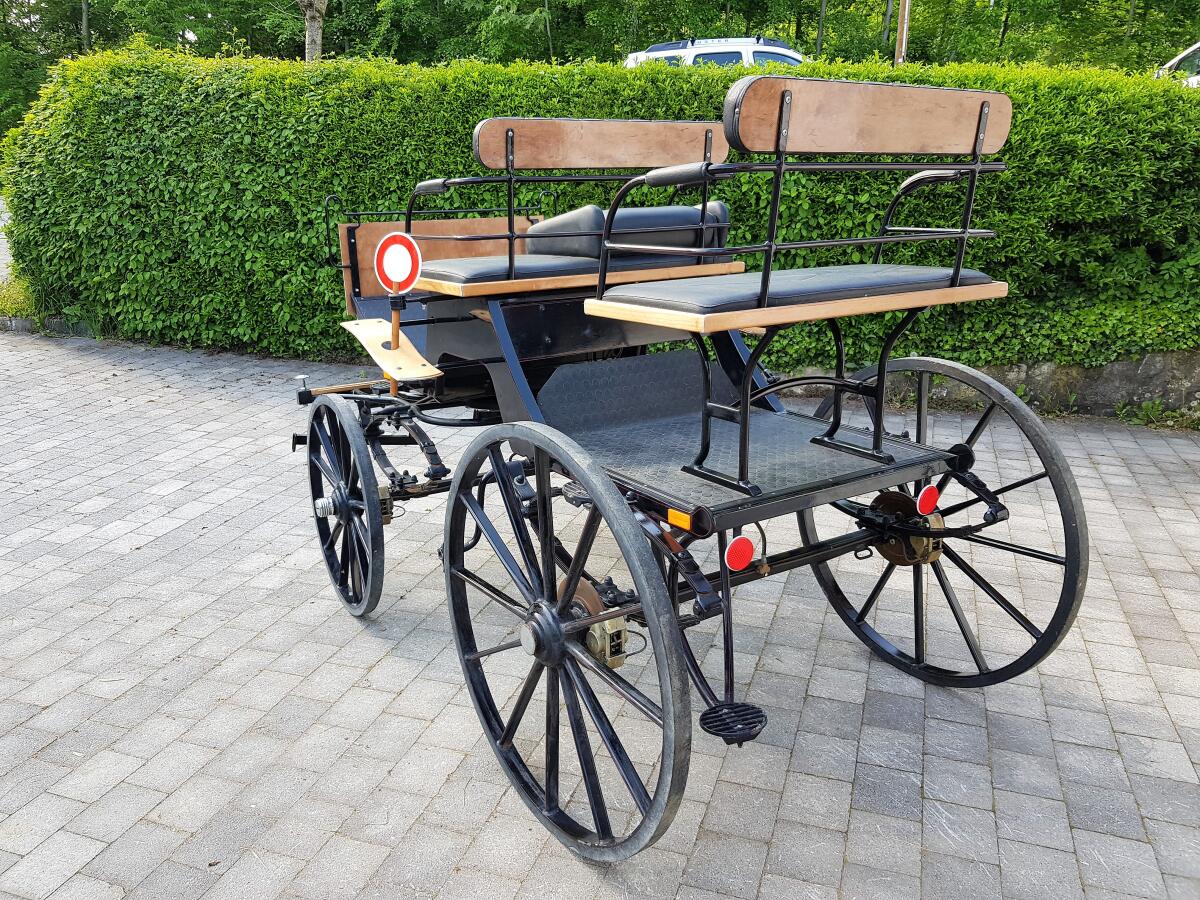 Kutsche für Großpferde 3