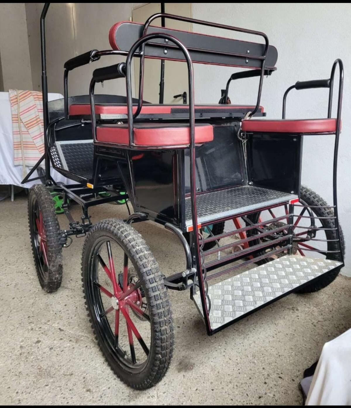 Verkaufe neuwertige Kutsche 2