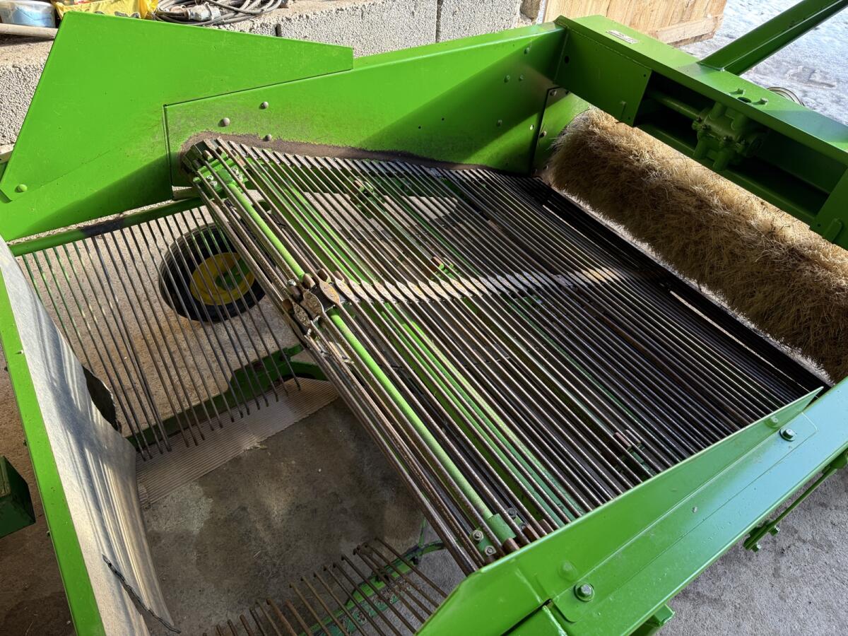 Wühlmaus Zwiebelschwadleger 3