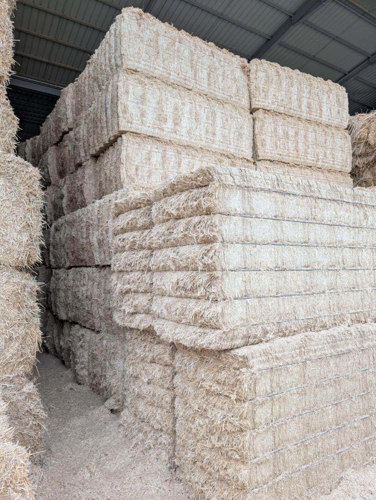 Ab sofort neu im Sortiment 2