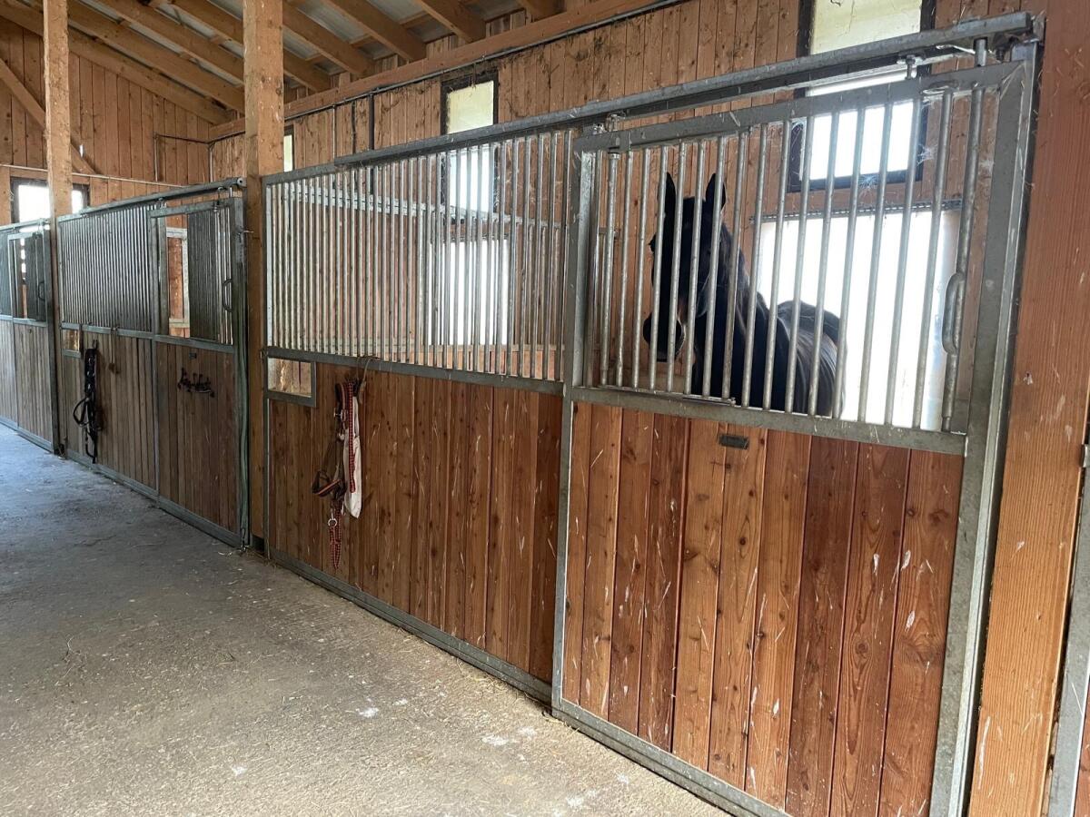 Aufstallung für Pferde Pferdeboxen 2