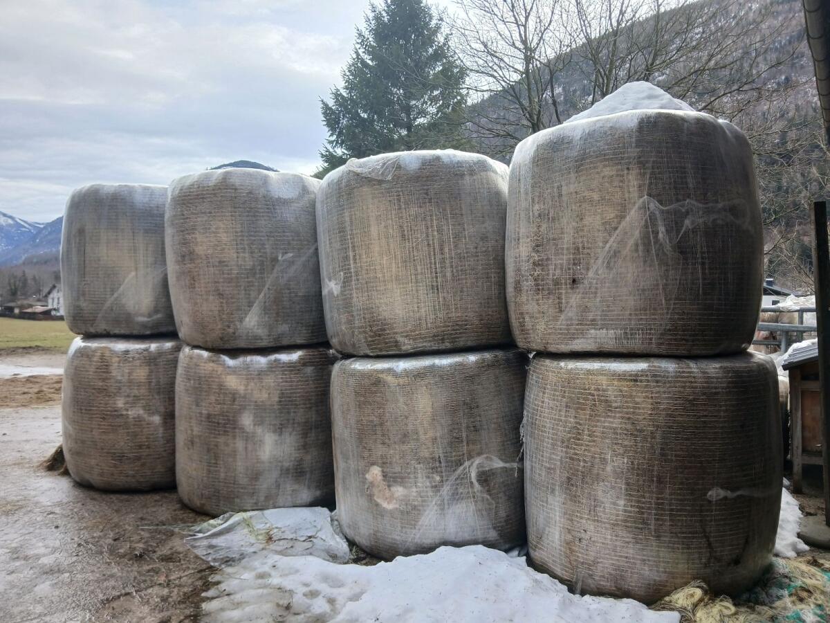 Siloballen 1. Schnitt 2025 2