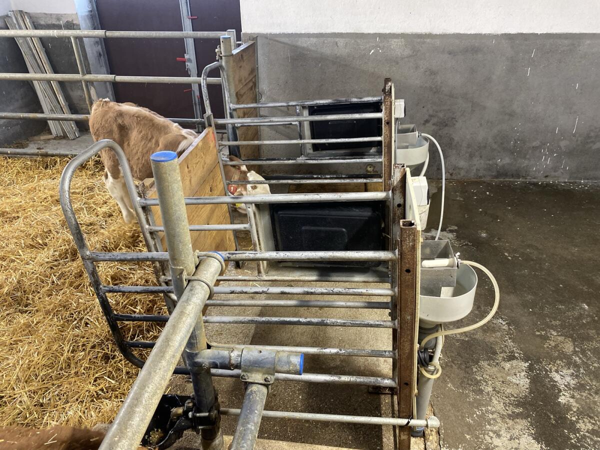 Tränkeautomat Förster 3