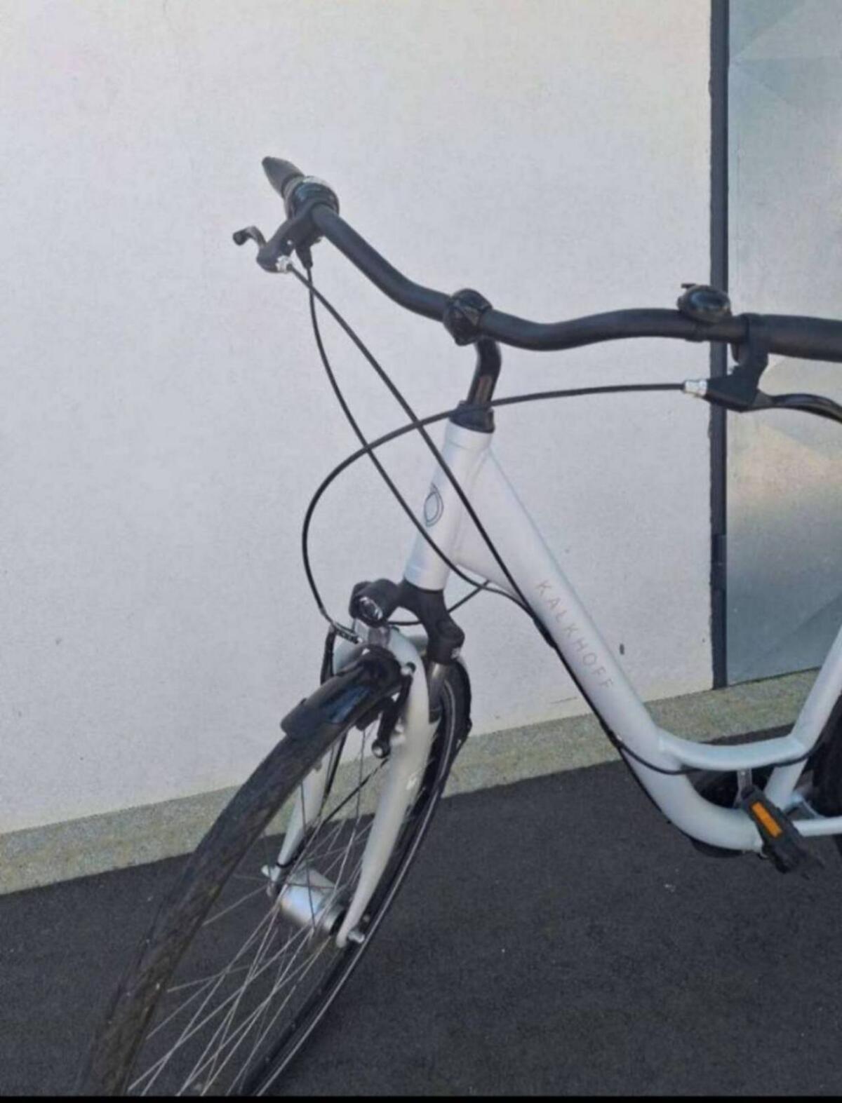 Kalkhoff Fahrrad, Rücktrittbremse 2