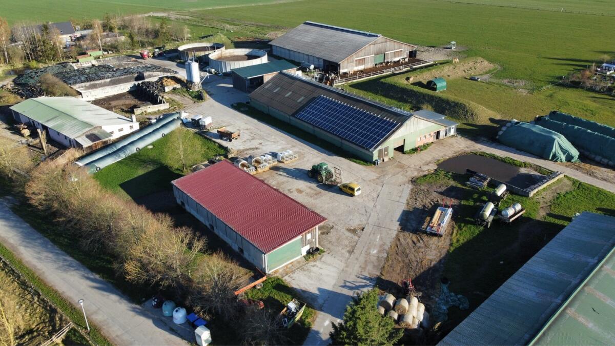 Betriebsleiter (m/w/d) für Bio-Milchviehbetrieb gesucht 3