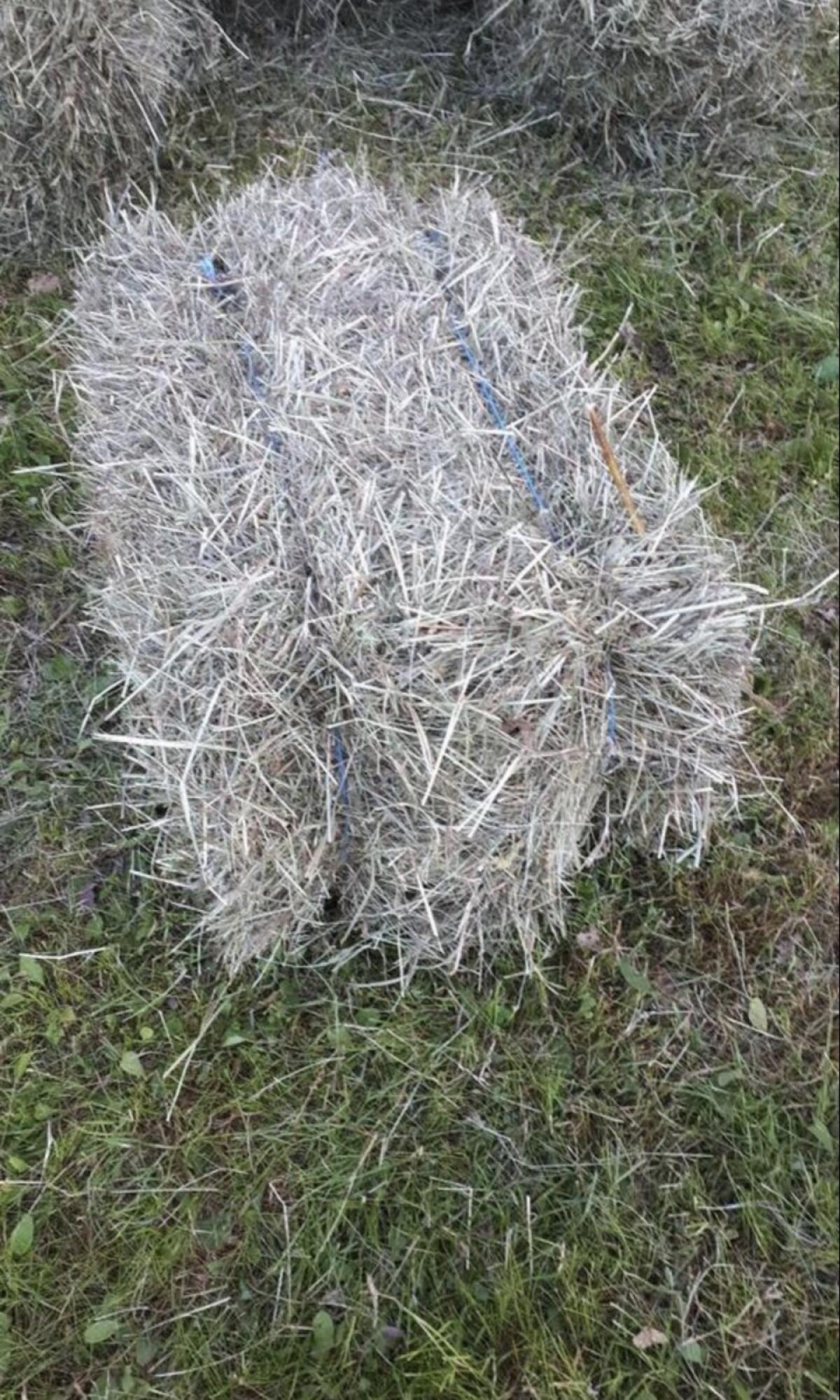 Heuballen klein (Quader) 2025, 1. Schnitt Pferdeheu 2