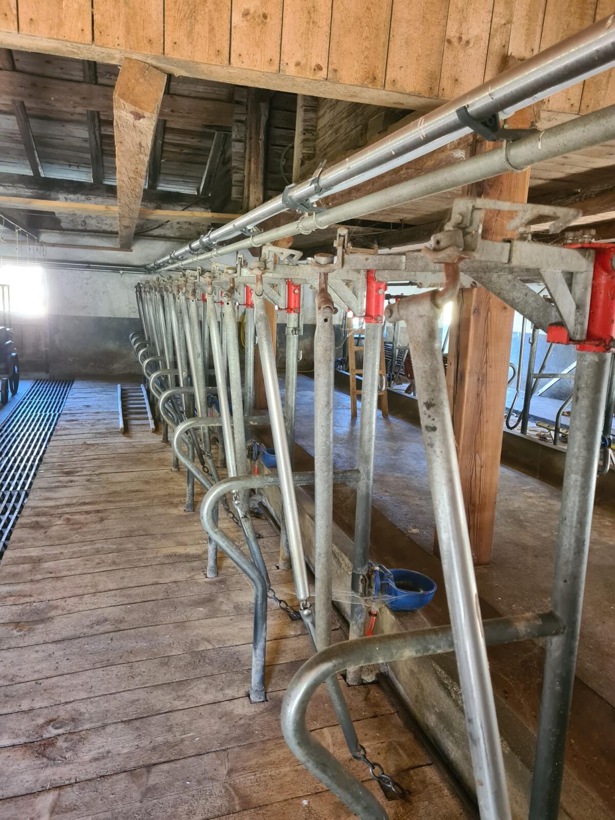 Schauer Selbstfanggitter, Rohrmelkanlage 3