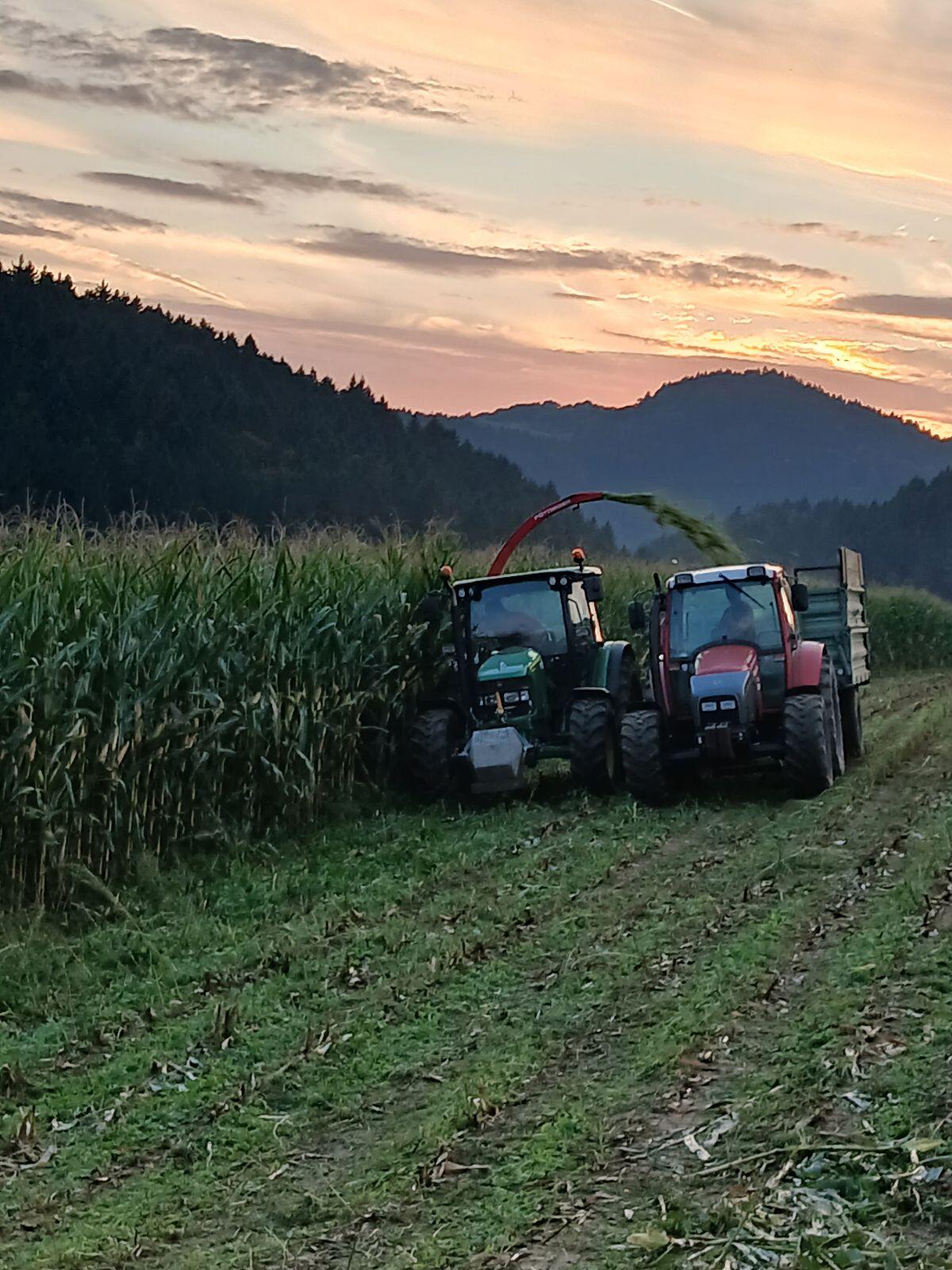 Bio Mais Silageballen 2