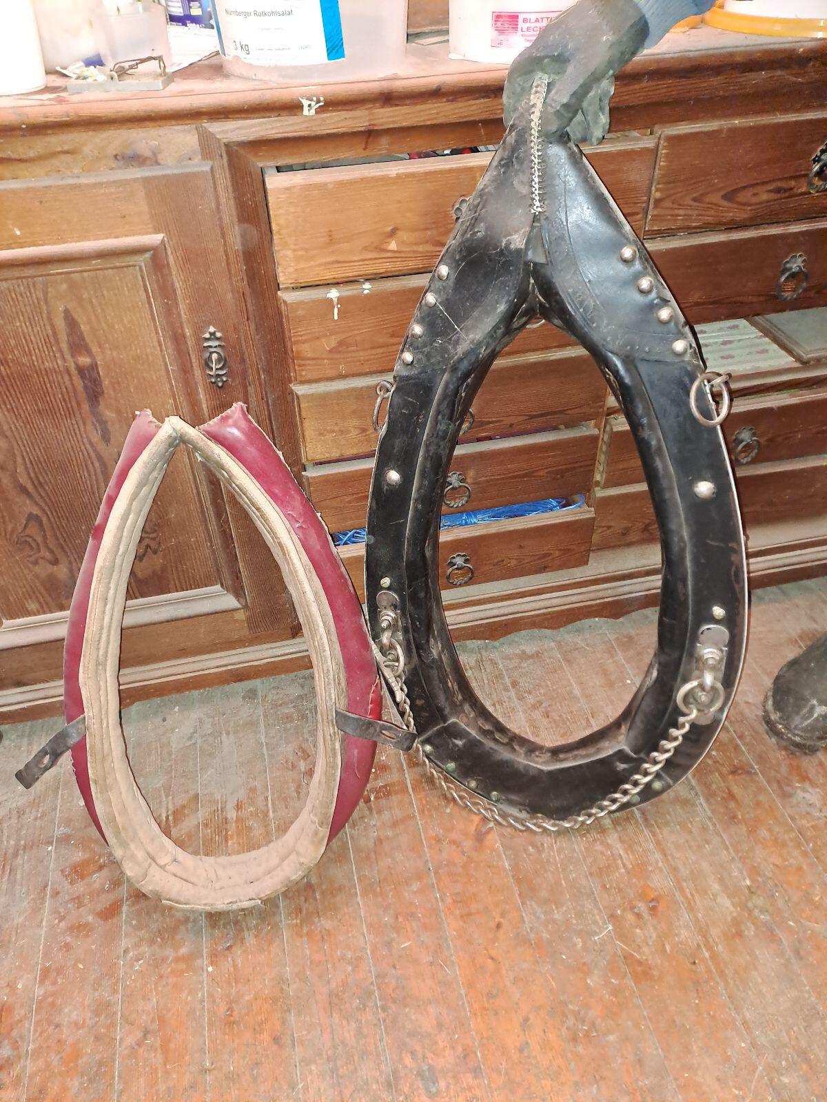 Pferdegeschirr 3