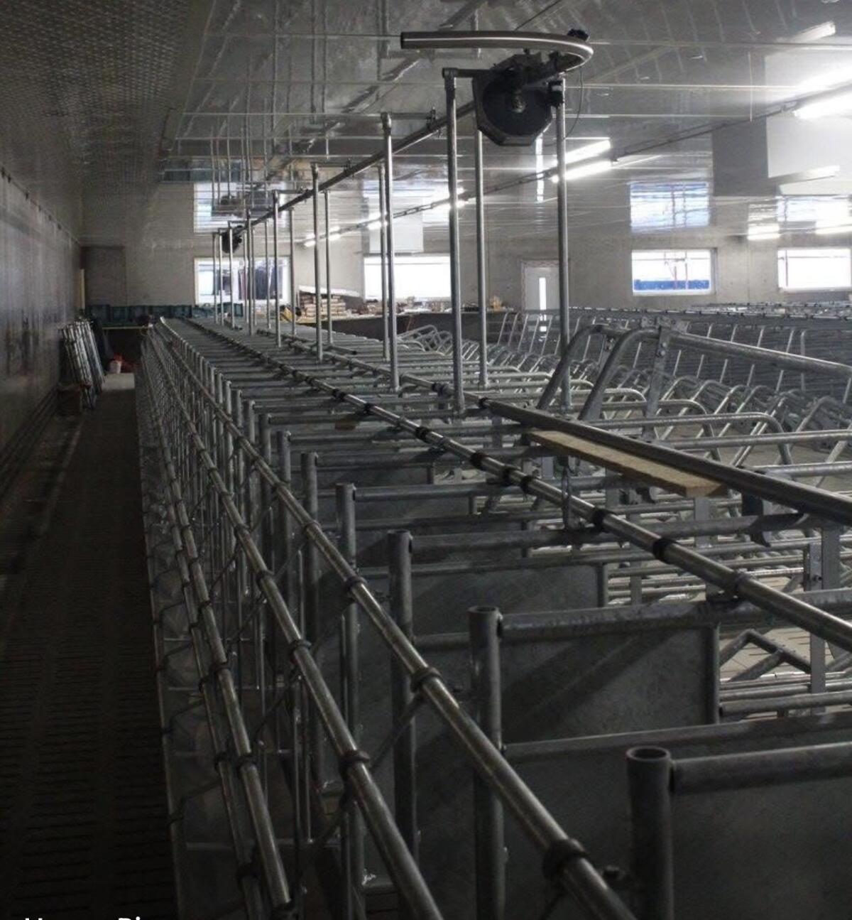 Verkaufe Deck- und Wartestall Schauer (Selbstfang) 3