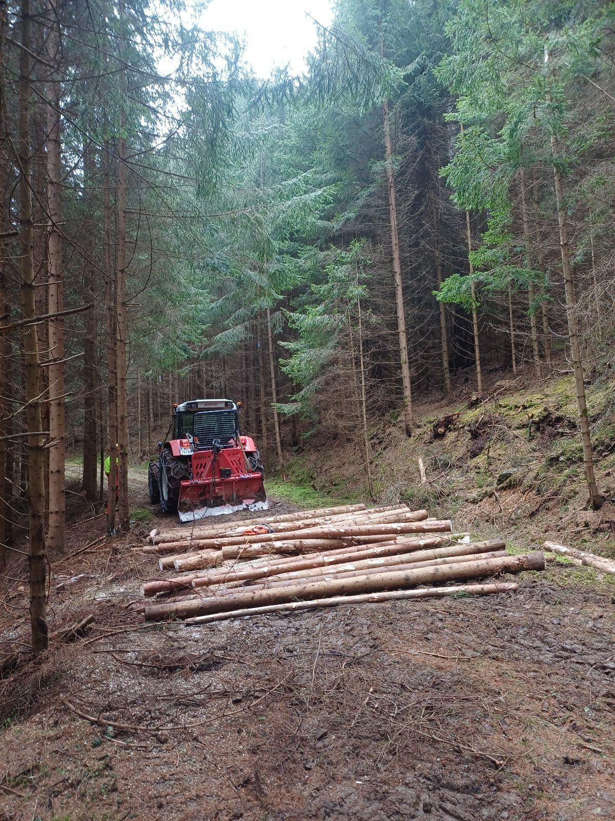 Holzschlägerungen, Bringung 2