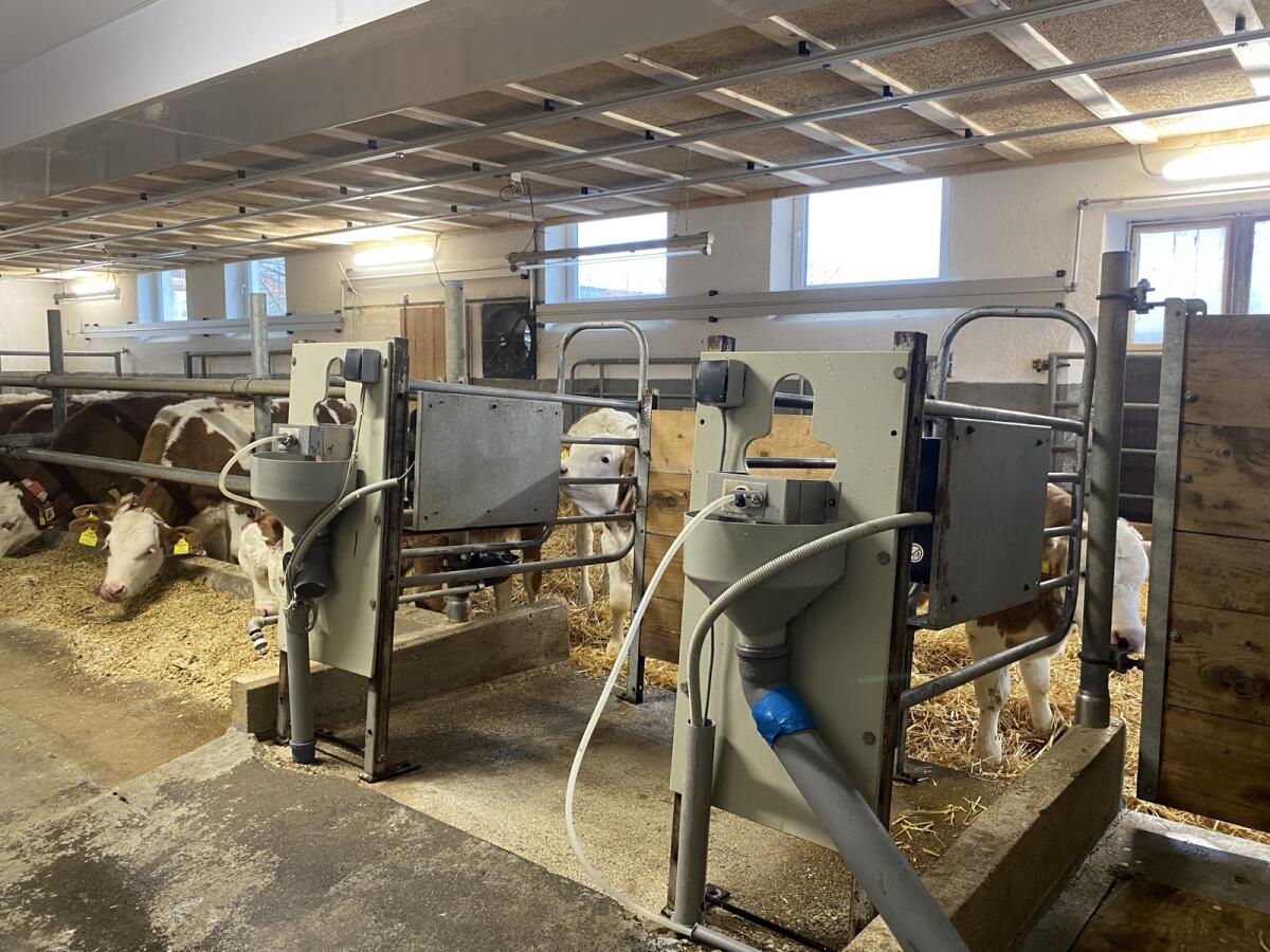 Tränkeautomat Förster 2