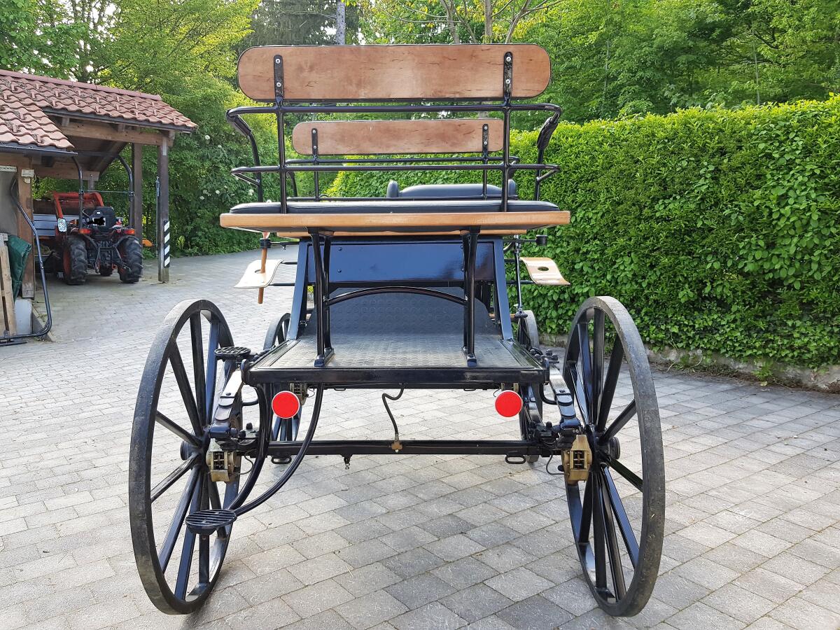 Kutsche für Großpferde 2