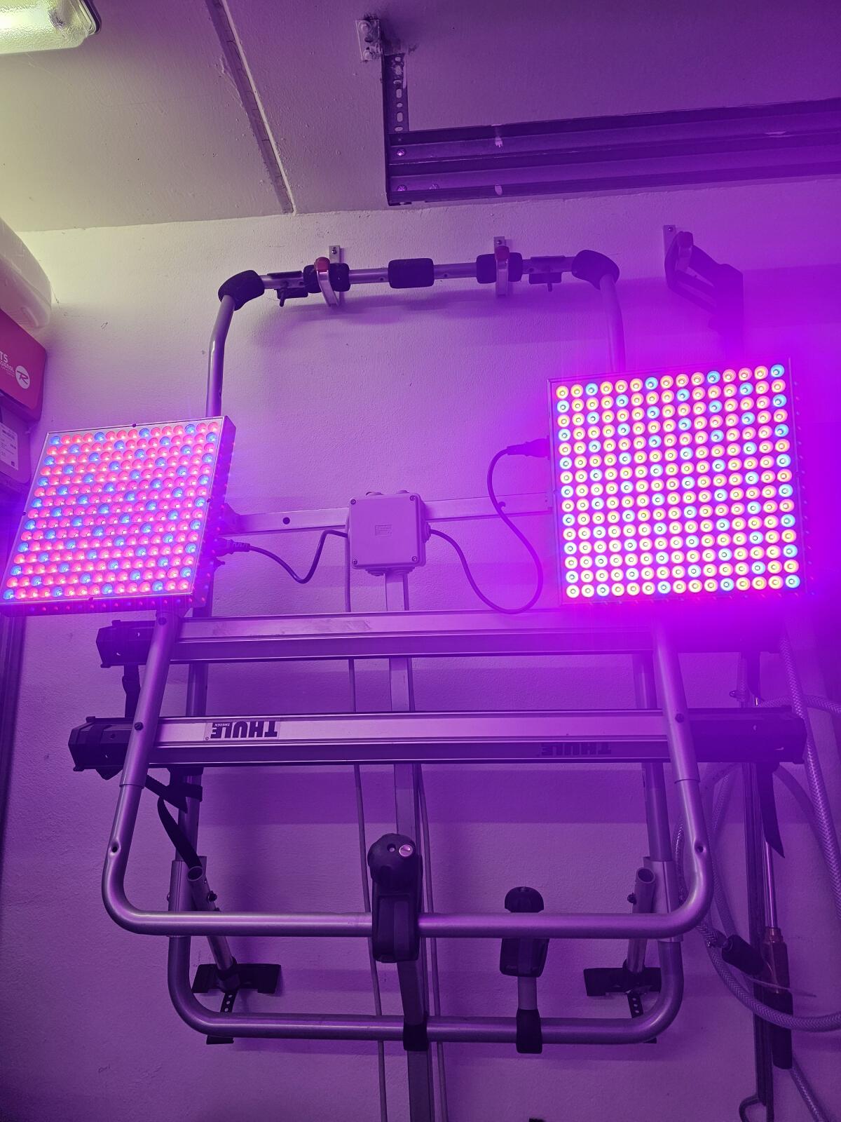 Thule Fahrradträger für Heckklappe 2