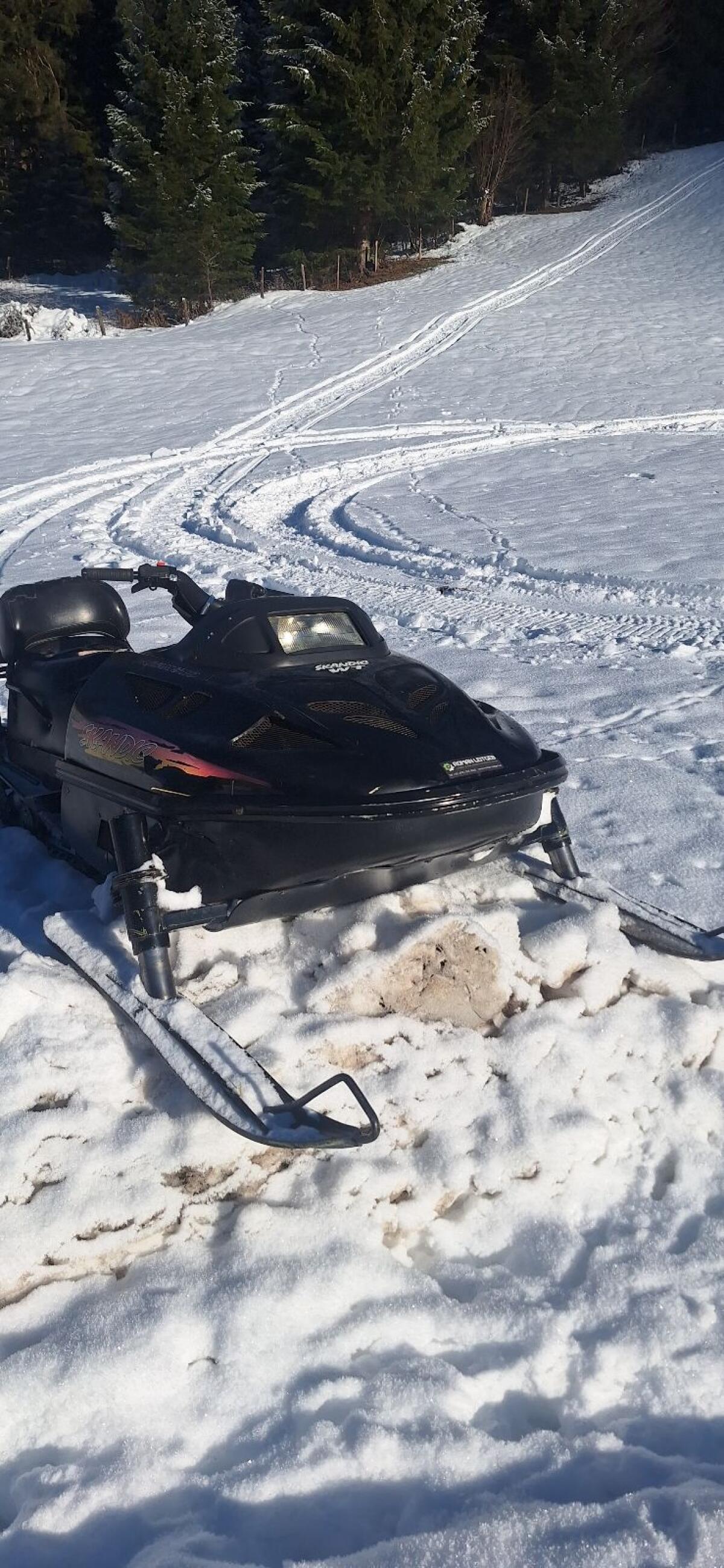 Ski-doo scandic 500wt 3