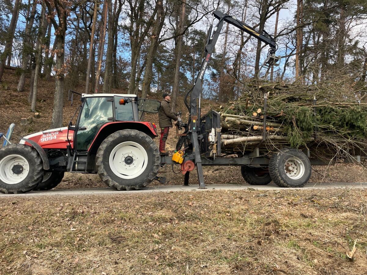Rückewagen Eigenbau Palms 610 Kran 3