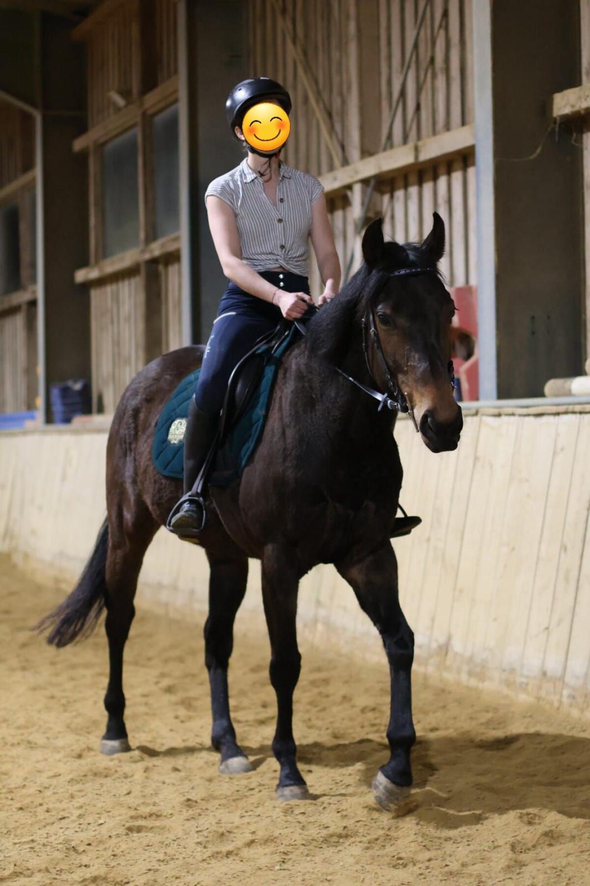 Unerschrockene Ausreitpartnerin mit Potential für mehr 2