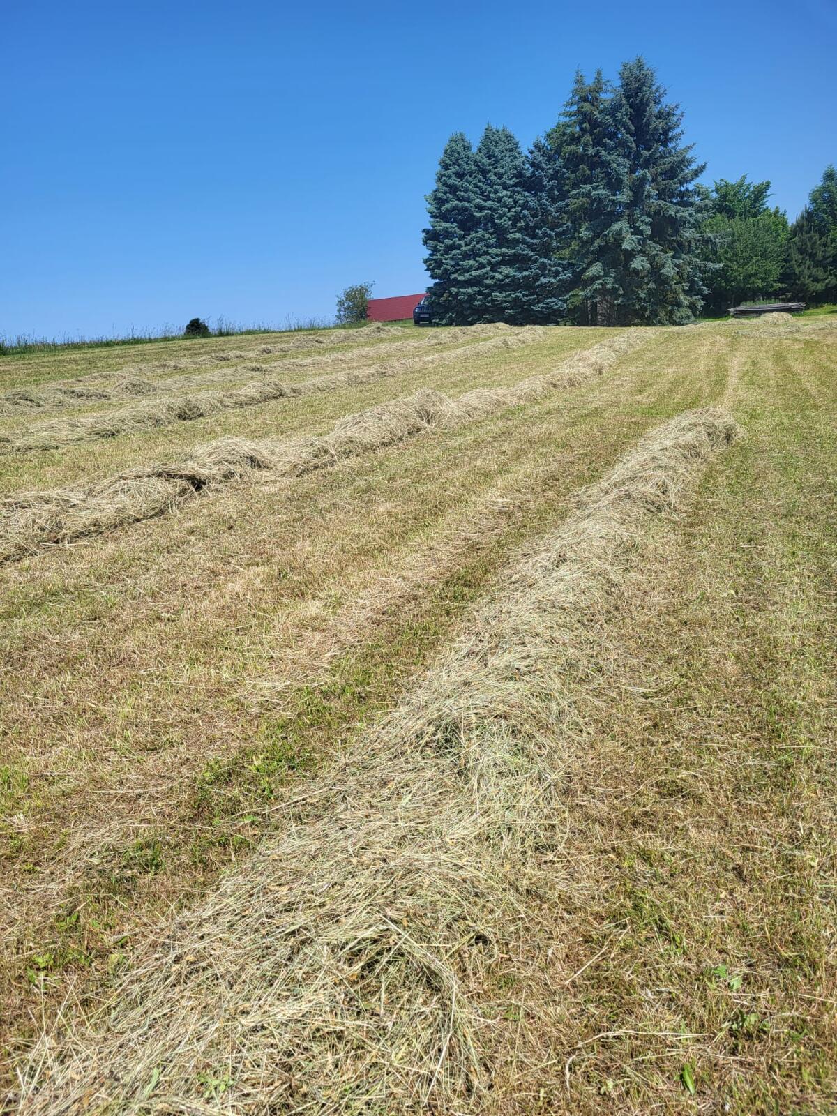 Bio Heu Kleinballen 3