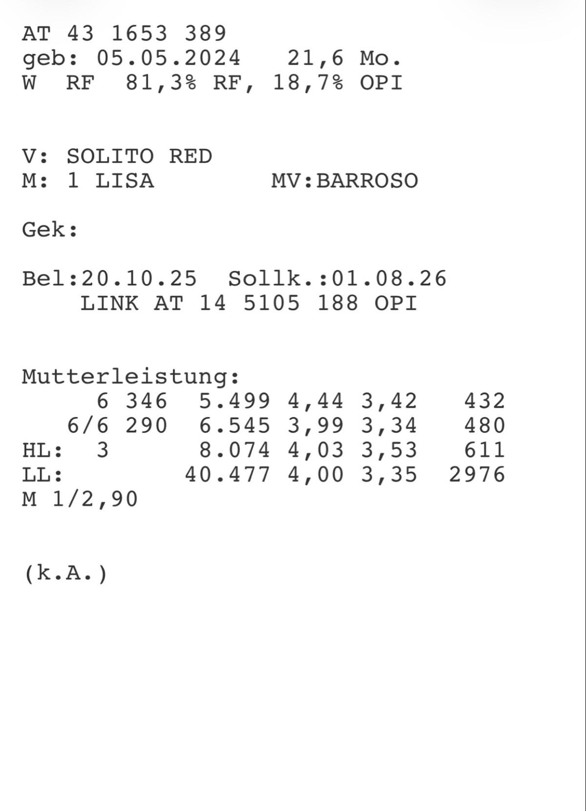 Trächtige Bio RFxPI Kalbin 2