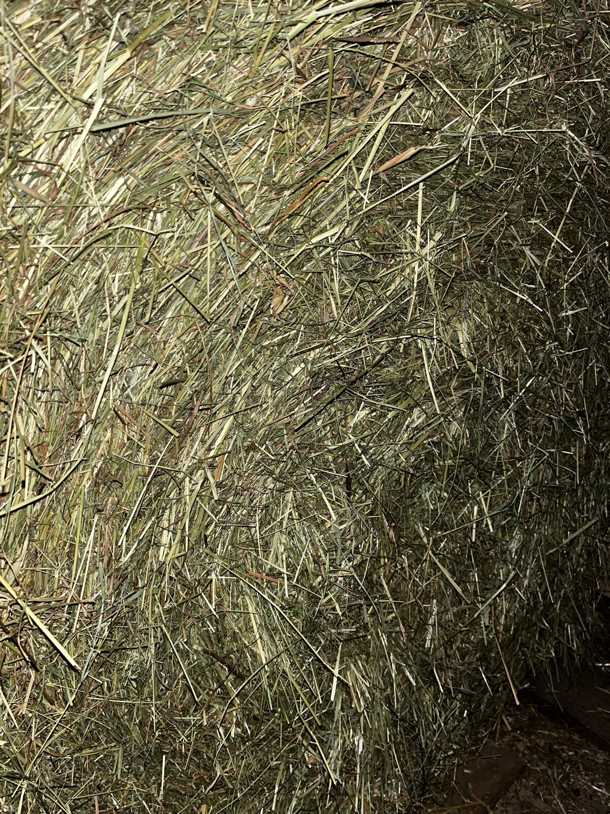 Heurundballen 1. Schnitt 2025 2