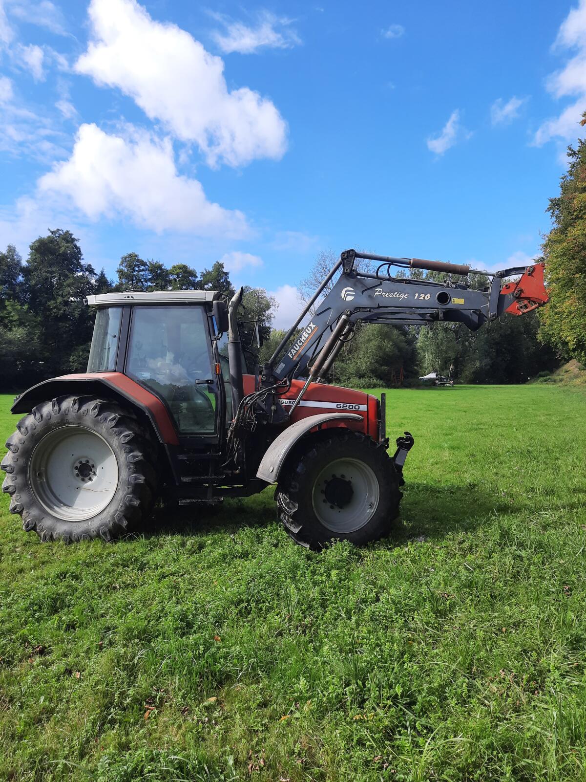 MF 6280 mit Frontlader 3