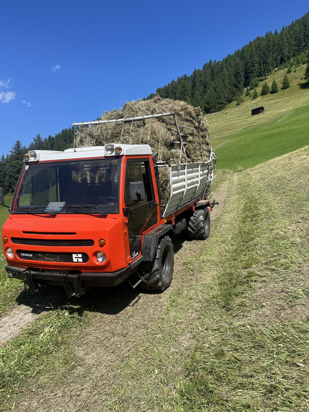 Reform Muli 875 S. 3