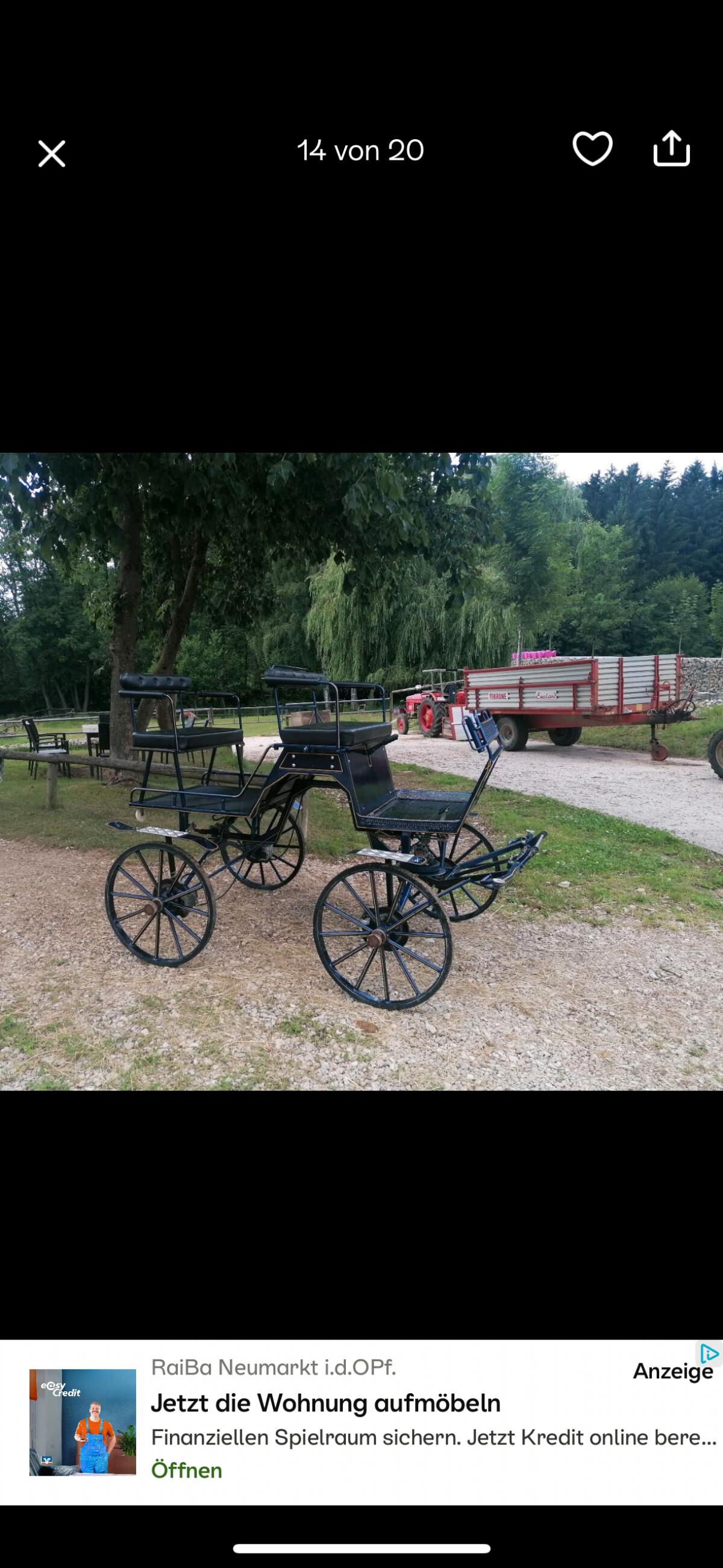 Kutsche Buggy 3