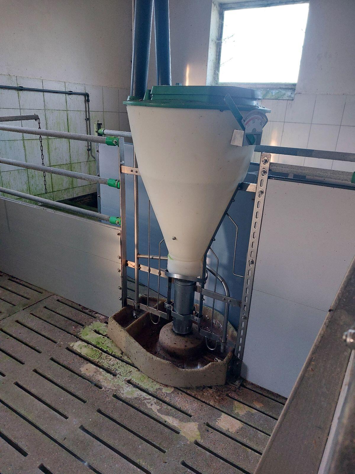 Mastschweine-Aufstallung 2