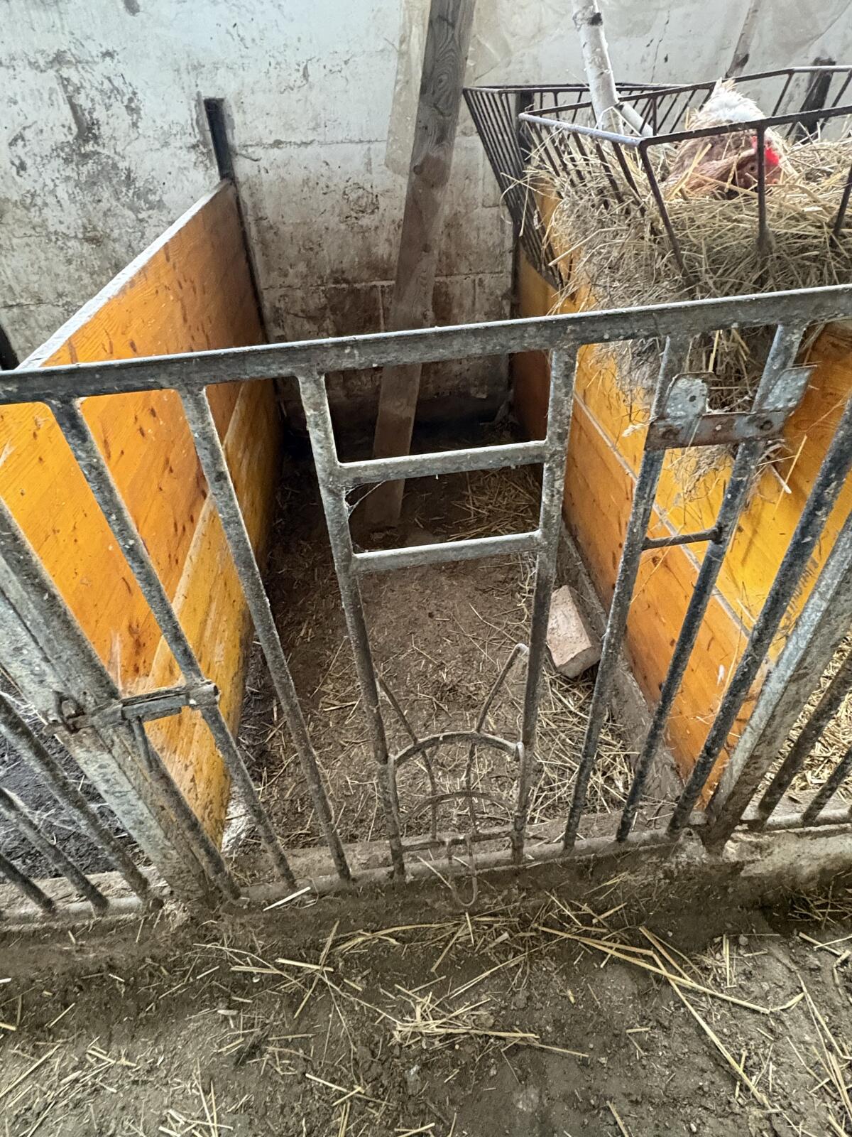 Kälberstalltüren 2