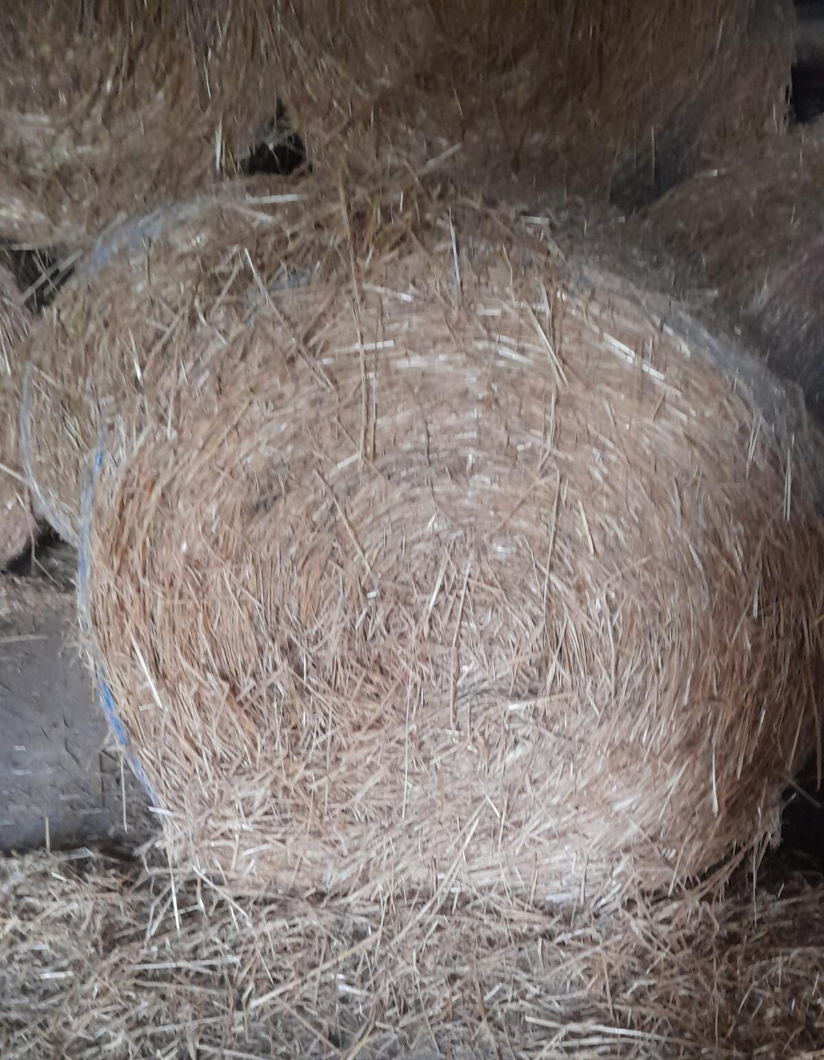 Strohrundballen 2