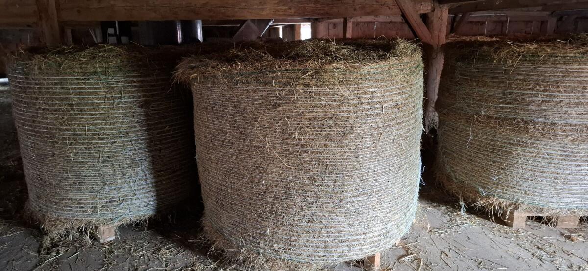 Stroh, Heu, Grummet 2