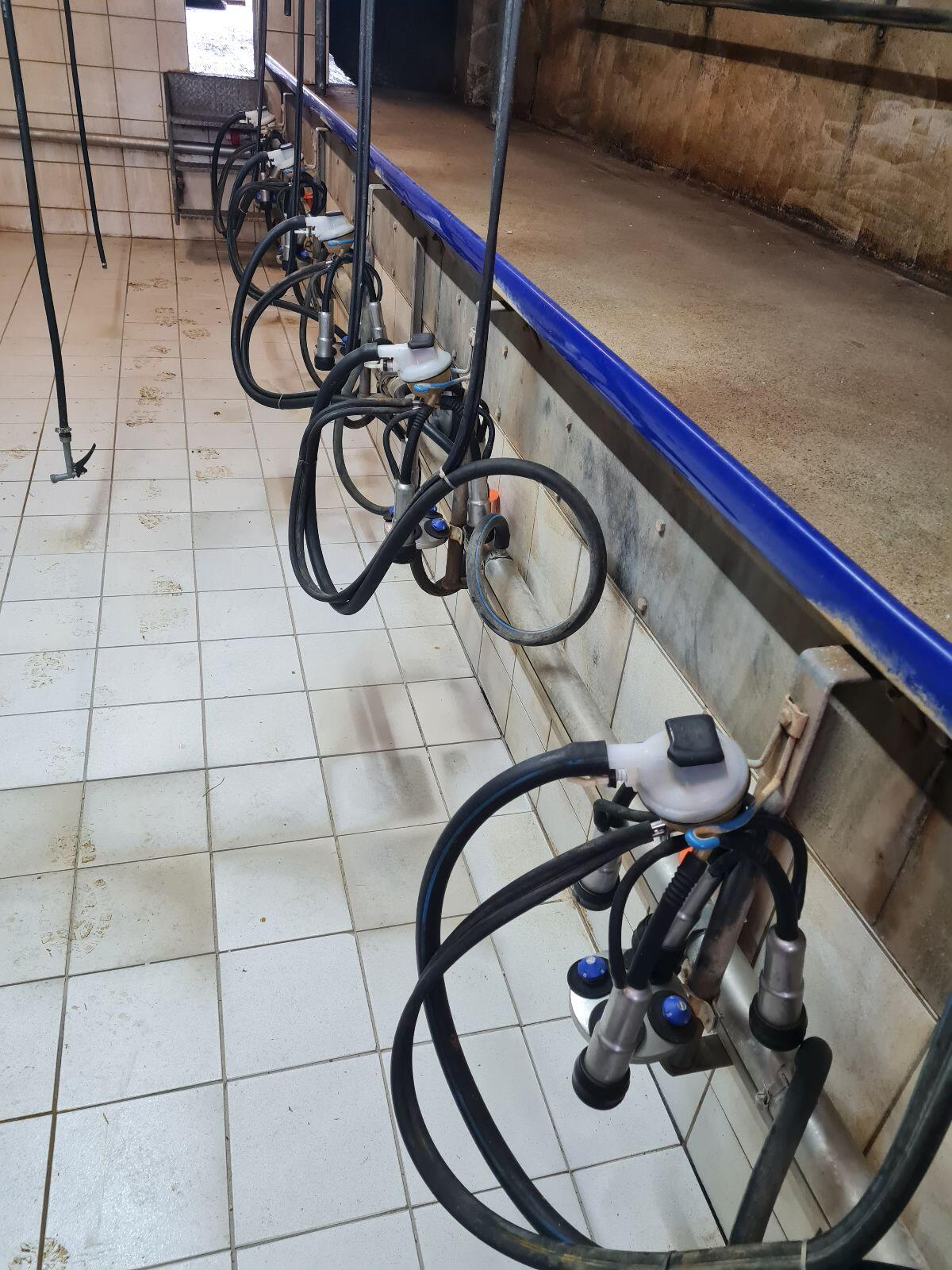 Melkstand Boumatic 3
