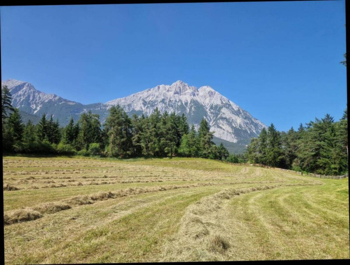 Bio-Heuballen klein 2