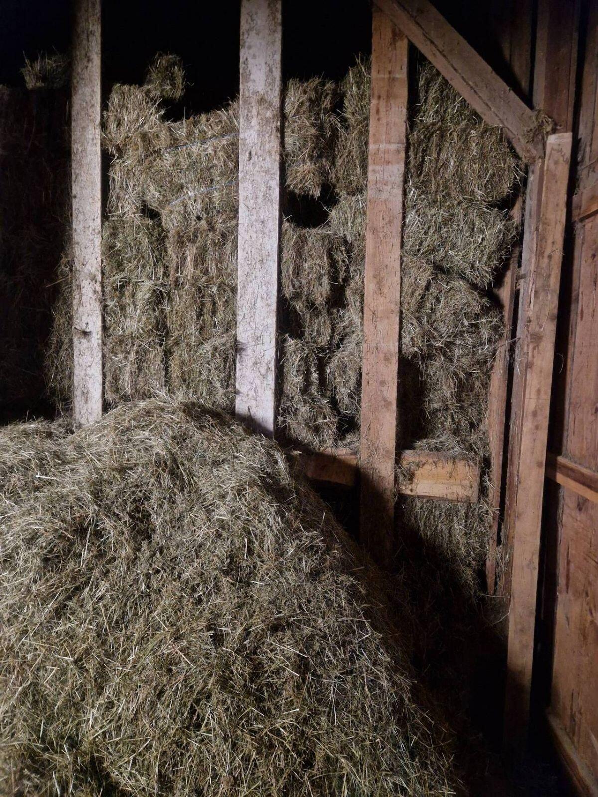 Bio-Heu-Kleinballen 3