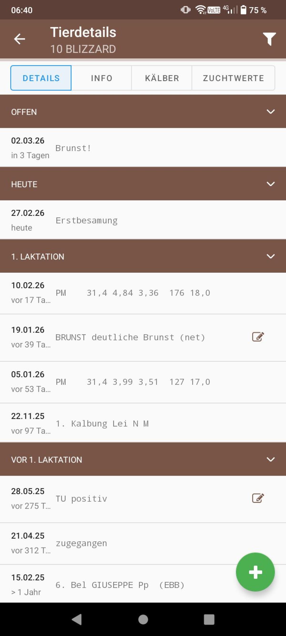 Bio Holstein Kühe 2