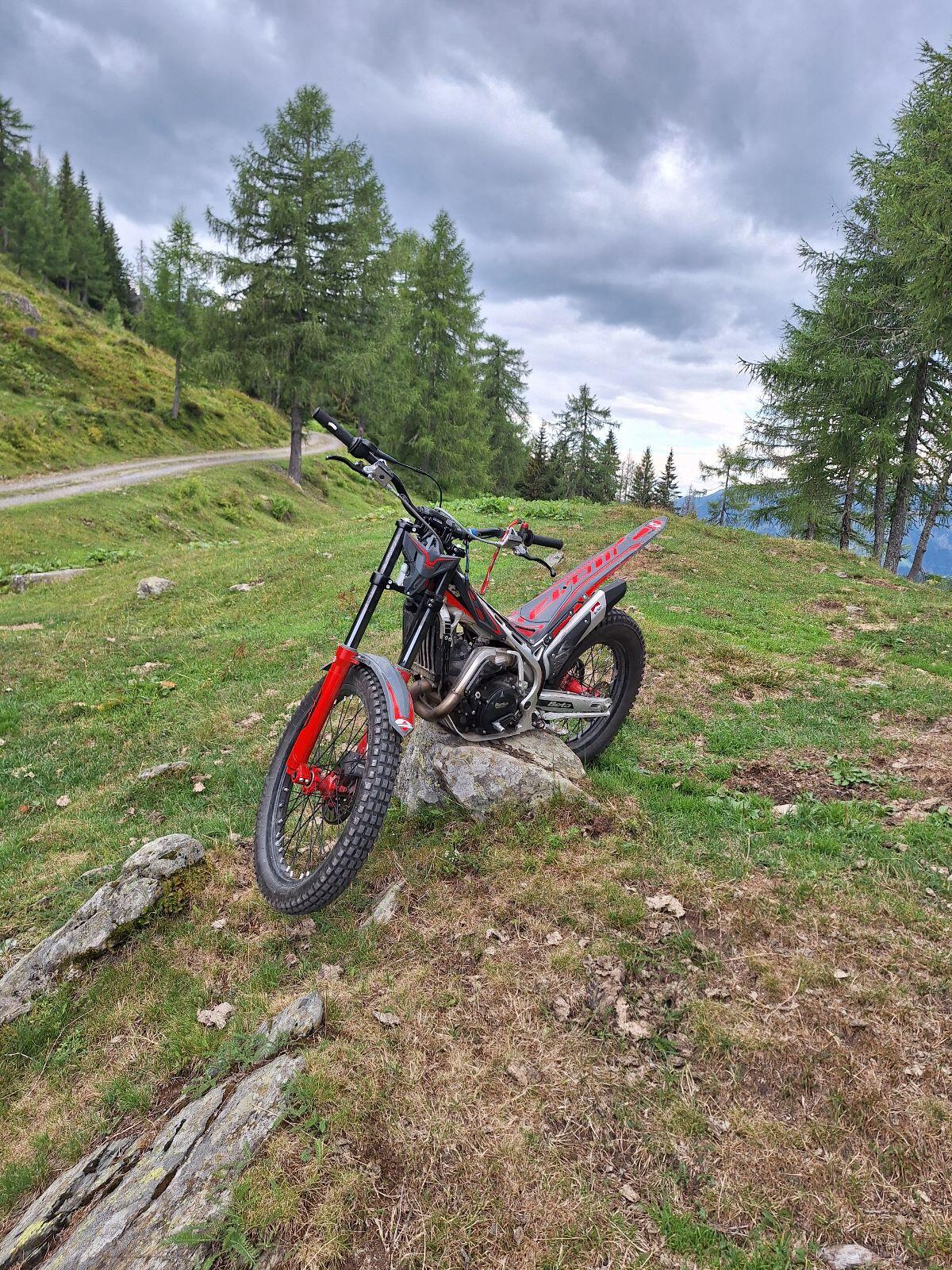 Beta Evo Trial 300ccm Bj. 2024 3