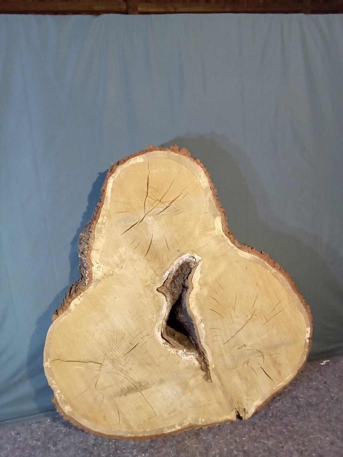 Jumbo Eichenplatte Tisch 2