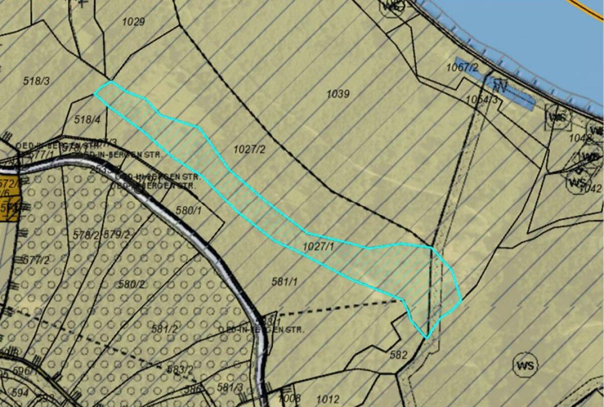Wald in Haibach ob der Donau "Hinterberg" 2