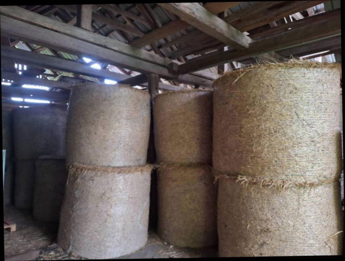 Verkaufe Heu 2