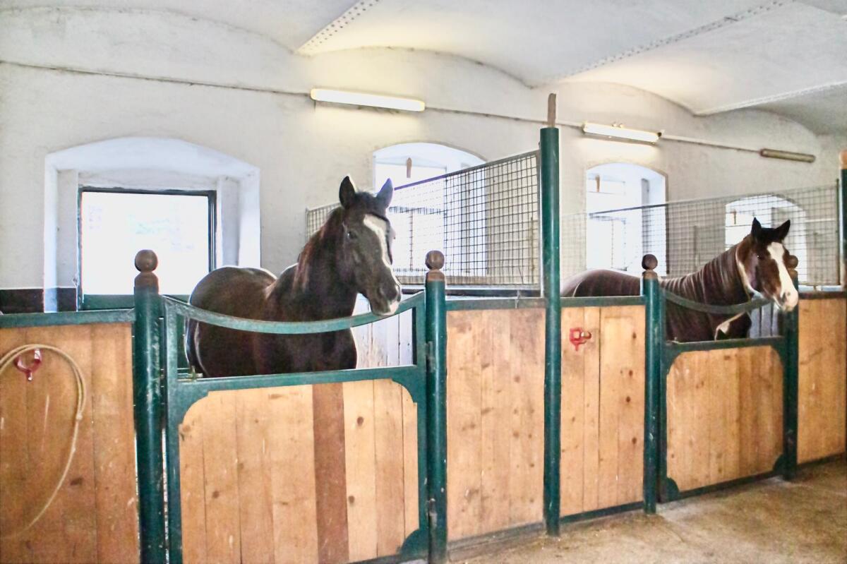 Stalltrakt für Selbstversorger zu vergeben 3